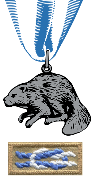 Silver Beaver Medal and Knot